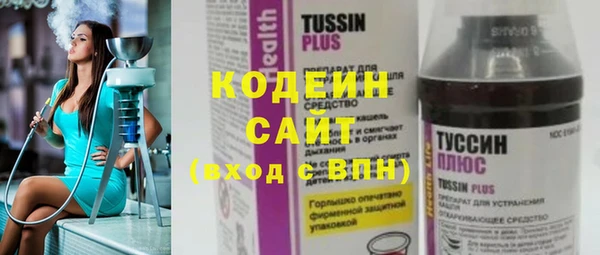 прущие грибы Верея