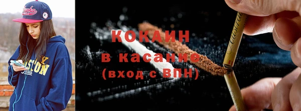 прущие грибы Верея