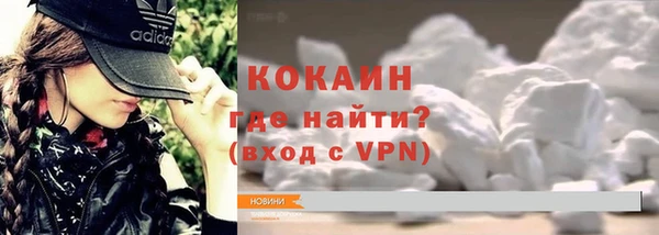 прущие грибы Верея