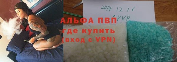 прущие грибы Верея