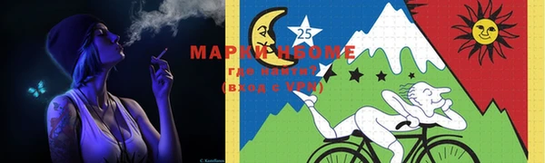 прущие грибы Верея