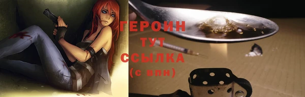 прущие грибы Верея
