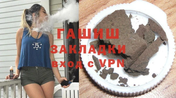 прущие грибы Верея