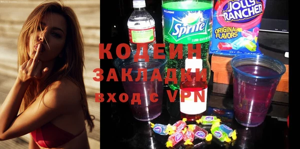 прущие грибы Верея