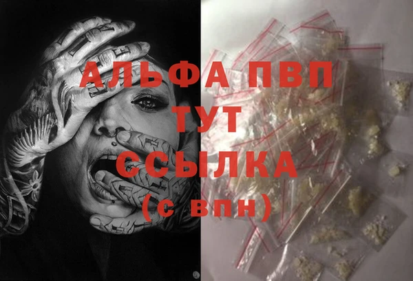 прущие грибы Верея