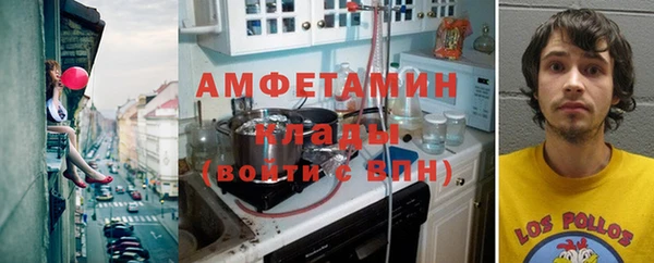 прущие грибы Верея