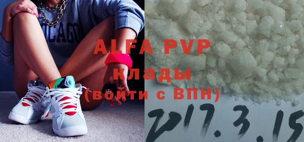 прущие грибы Верея