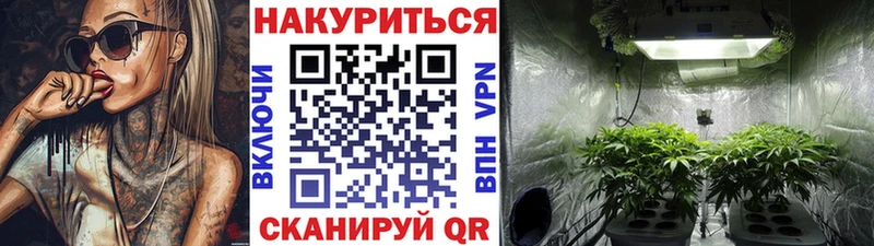 Марихуана SATIVA & INDICA  Керчь 